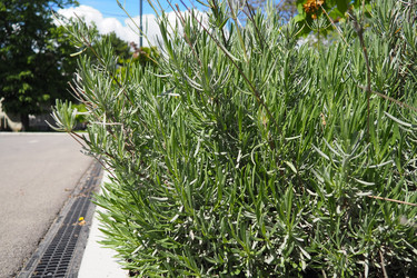 Similar image 21440732