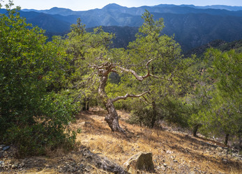 Similar image 21441093