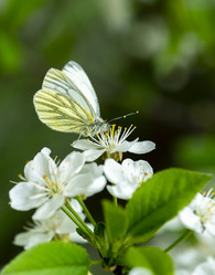 Similar image 21441226