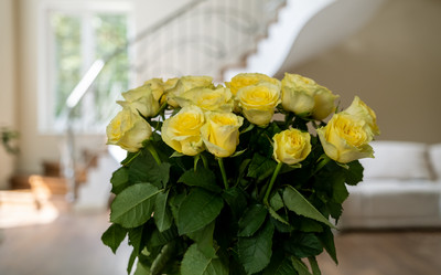 Similar image 21441229