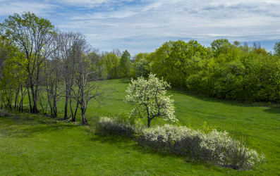 Similar image 21441230