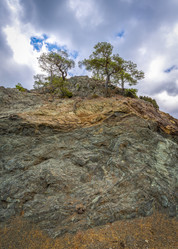 Similar image 21441231