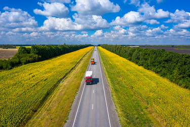 Similar image 21441233