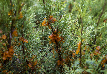 Similar image 21441263