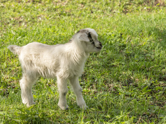 Similar image 21441264