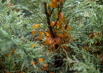 Similar image 21441438