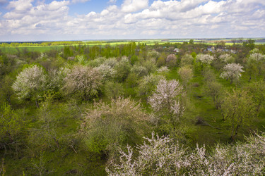 Similar image 21441443