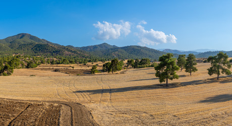 Similar image 21441444