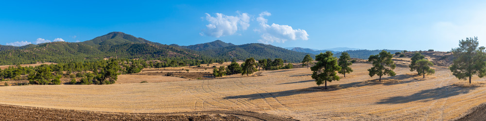 Similar image 21441445