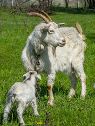 Similar image 21441447