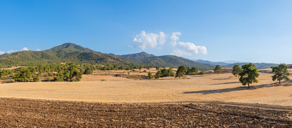 Similar image 21441448