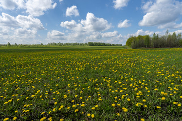 Similar image 21441451