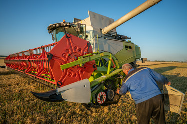 Similar image 21441456