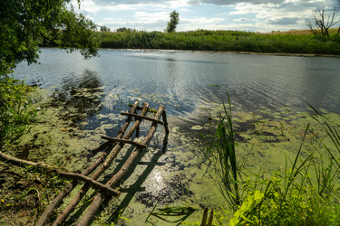 Similar image 21441461