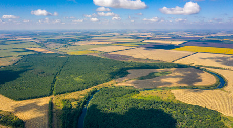 Similar image 21441853