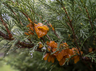 Similar image 21441854