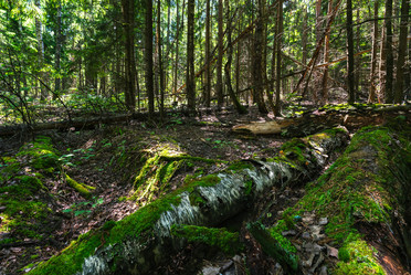 Similar image 21441860