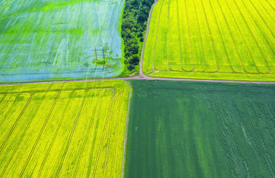 Similar image 21441866