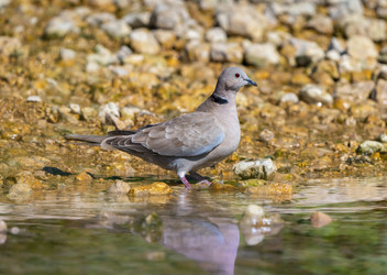 Similar image 21441870