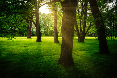 Similar image 21441871