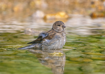 Similar image 21441872