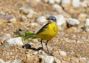 Similar image 21441874