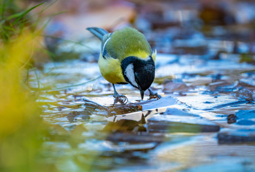 Similar image 21441875