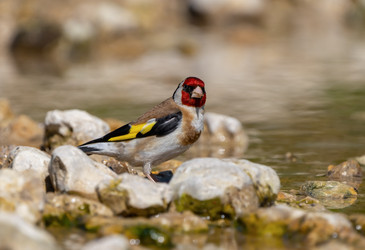 Similar image 21441876