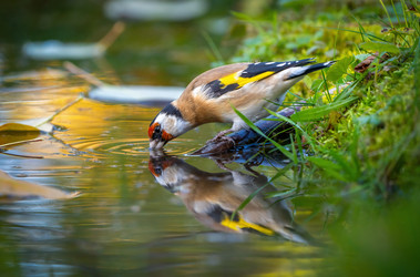 Similar image 21441877