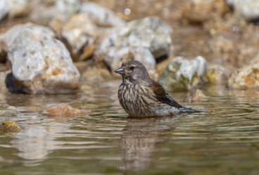 Similar image 21441878