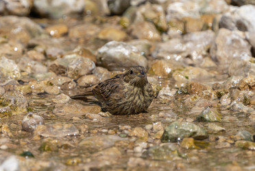 Similar image 21441880