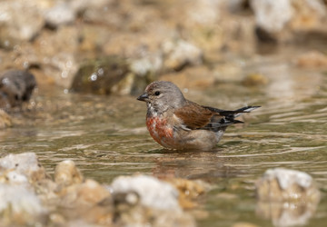 Similar image 21442342