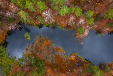 Similar image 21442353