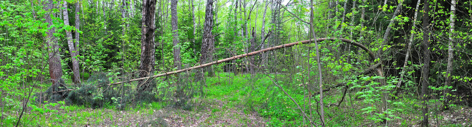 Similar image 21444462