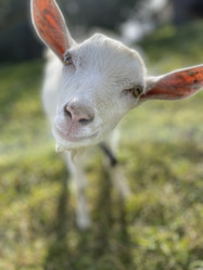 Similar image 21437726