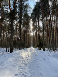 Similar image 21437728