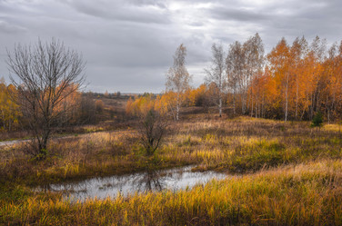 Similar image 21442363