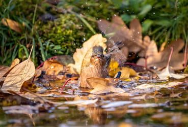 Similar image 21442364