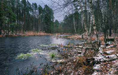 Similar image 21440963