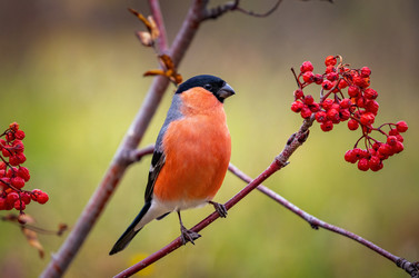 Similar image 21440966