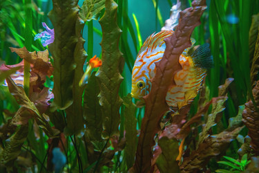 Similar image 21441622