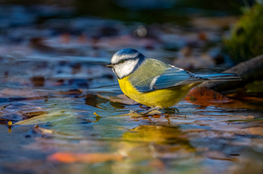 Similar image 21441624