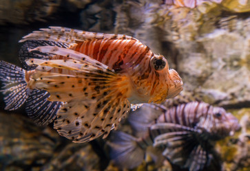 Similar image 21441626