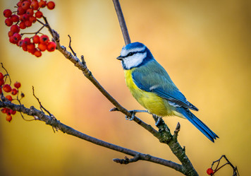 Similar image 21440981