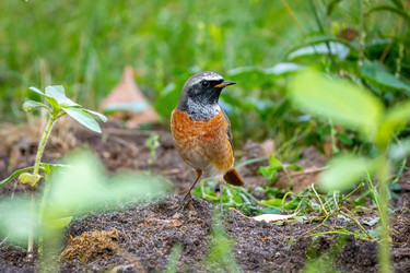 Similar image 21441003