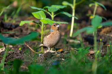 Similar image 21441099