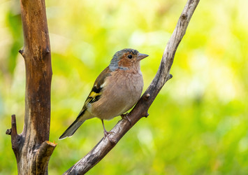 Similar image 21441101