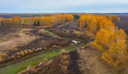 Similar image 21441104