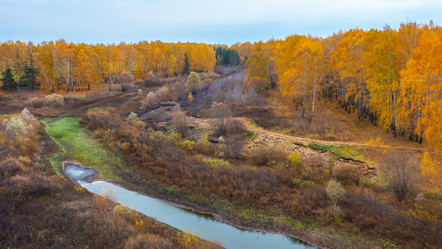 Similar image 21441105