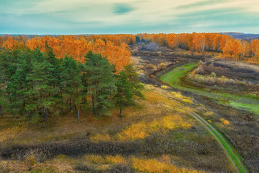 Similar image 21441109